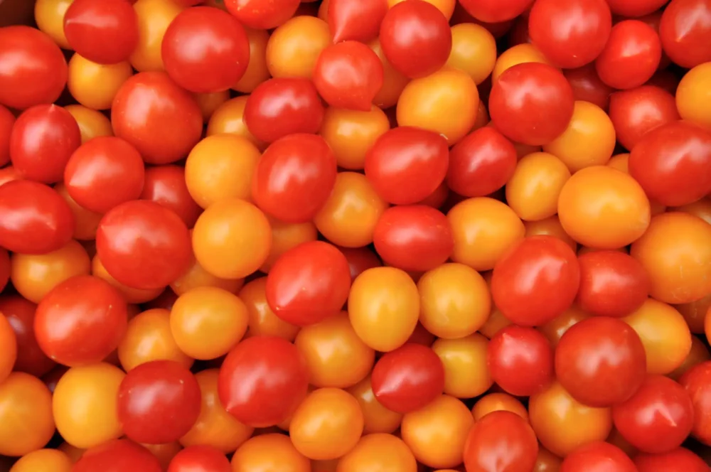 tomates-cerises-rouges-jaunes-gros-plan